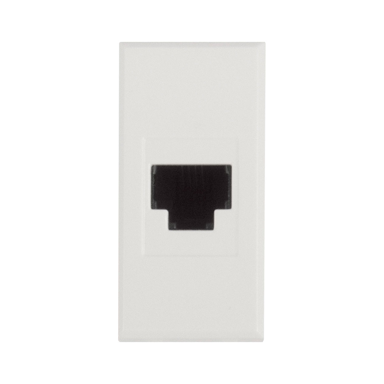 PRESA RJ11 MORSETTI A VITE WHITEK1M