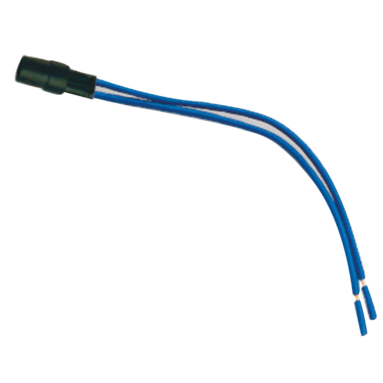 LAMPADA 12-24 VCC/CA A LED BLU